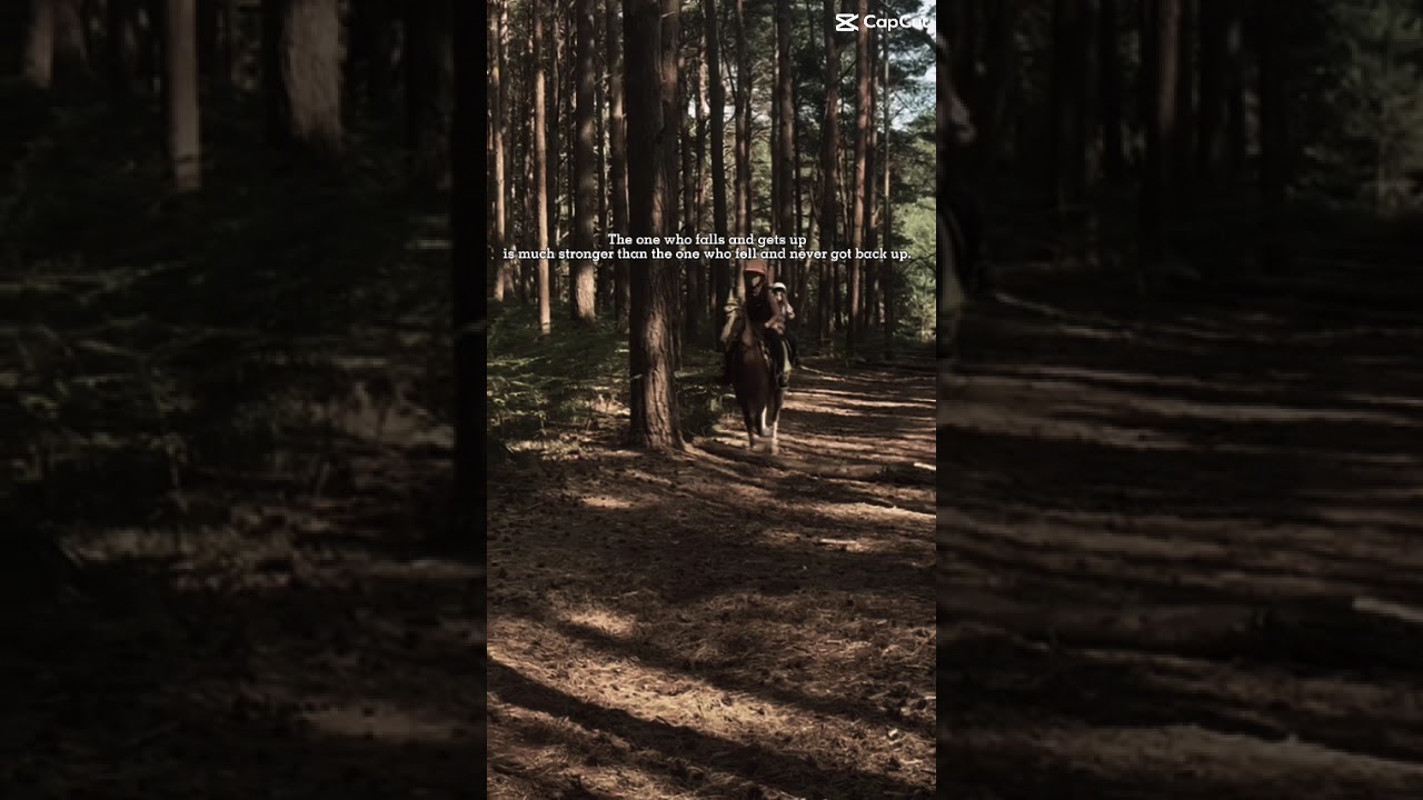 Always try and get back on