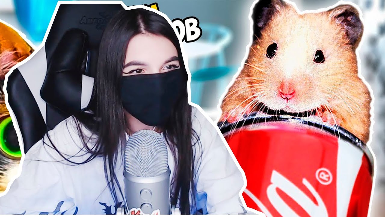 TenderlyBae смотрит: 3 ЛАЙФХАКА от SLIVKISHOW - Ловушка для СТЁПЫ | Tenderlybae's World