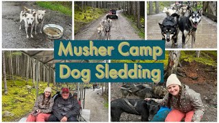 Musher Camp Dog Sledding in Skagway Alaska | Norwegian Alaska Cruise | Cruise Excursion
