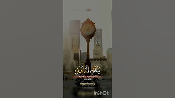 قرآن كريم رزكار الكردي