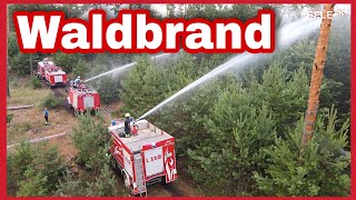 [WALDBRAND IN DER LIEBEROSER HEIDE] Flammenfronten breiten sich rasant auf über 50 Hektar aus