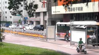 7月台中公園路景1040709