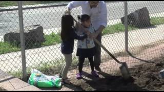 Using The Project Approach In a Spanish-Speaking Preschool Classroom