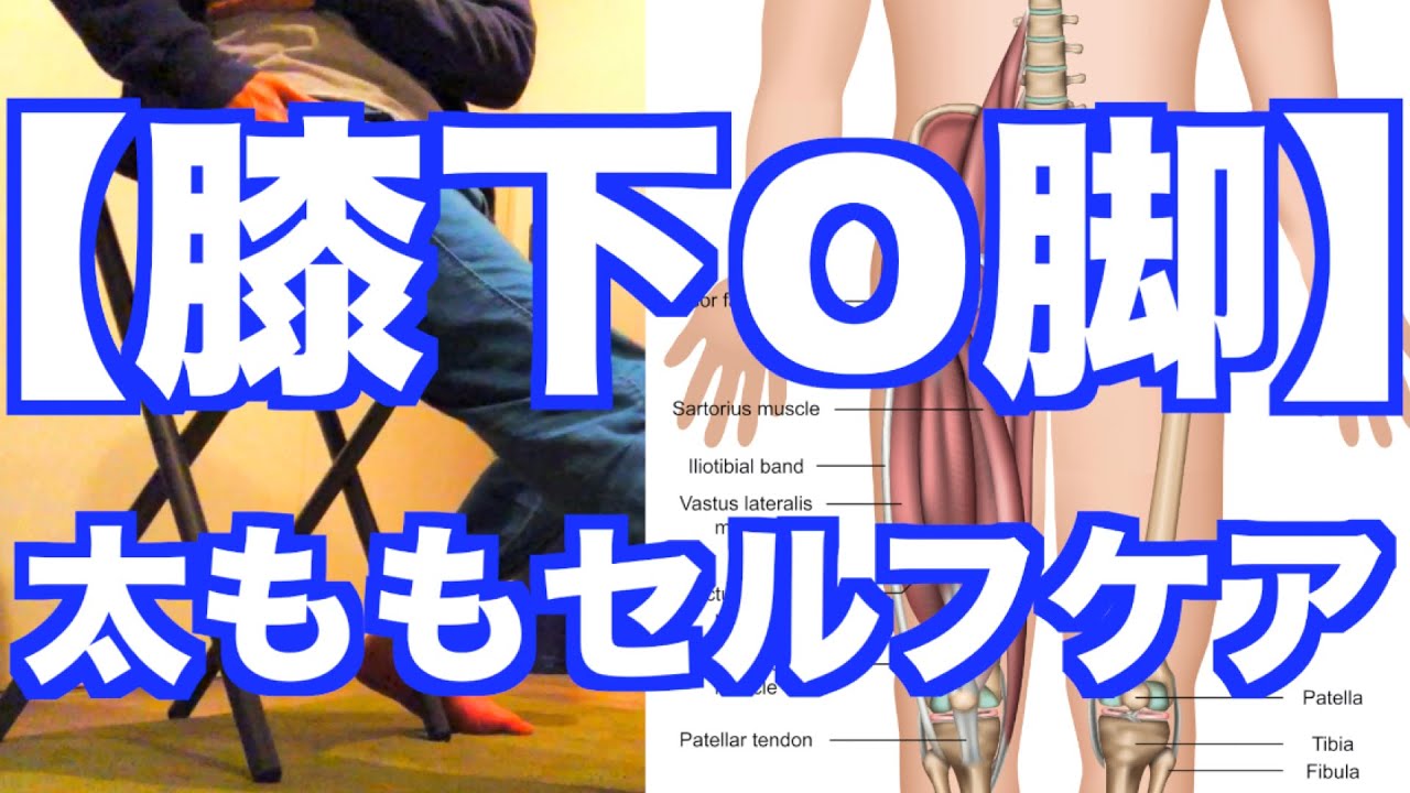【膝下O脚　治し方】「膝下O脚・XO脚」の改善は「太もものセルフケア」が必要！
