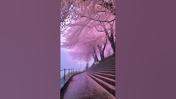 تلاوة هادئة تريح الاعصاب وتهدا النفس | قران كريم بصوت جميل جدا جدا - أرح سمعك وقلبك