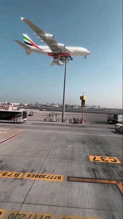 Suara announcement pramugari cantik pesawat