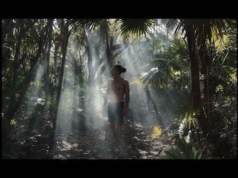 Travel To Tulum | Cinematic Video