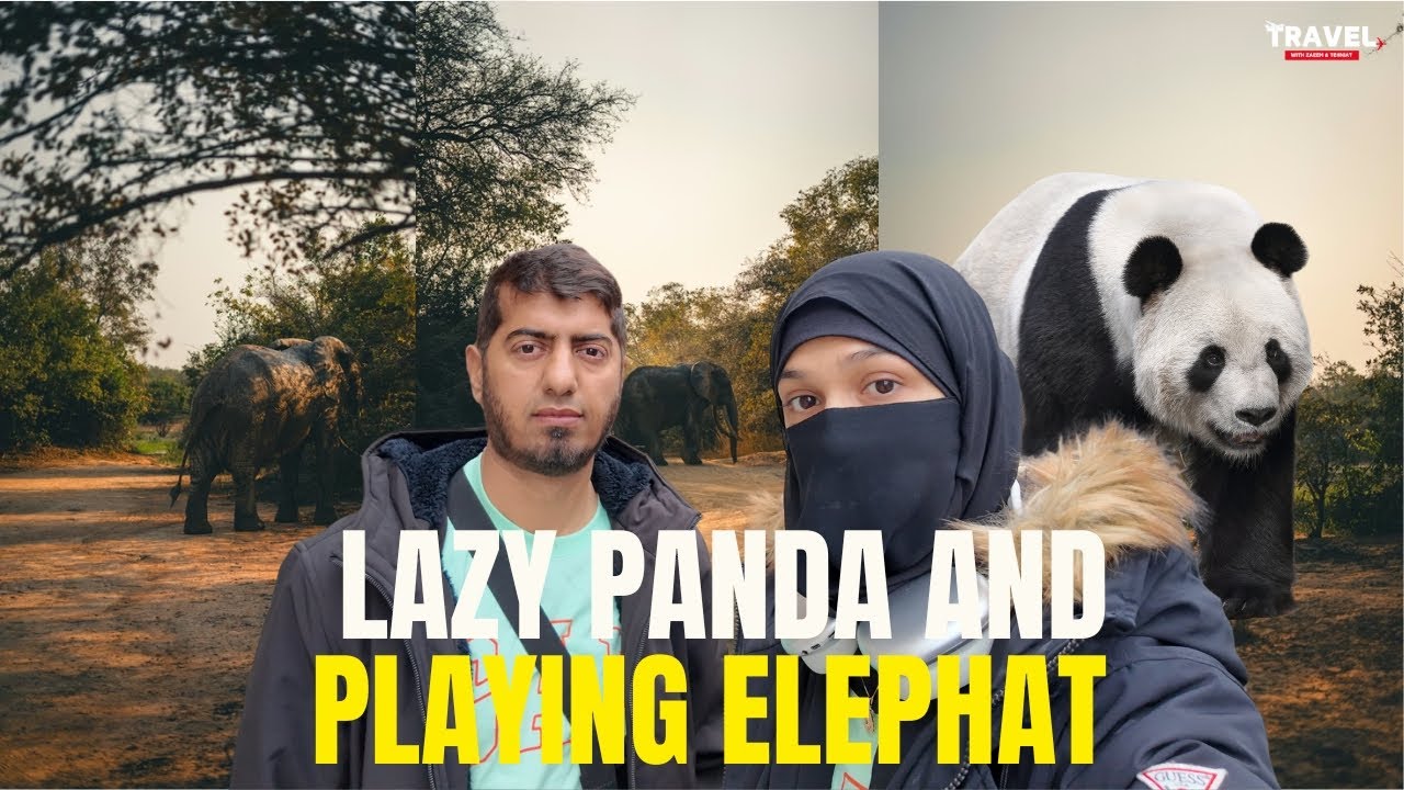 xploring Panda & Elephant Habitat | Washington, D.C. Zoo | Smithsonian Zoo Travel Vlog