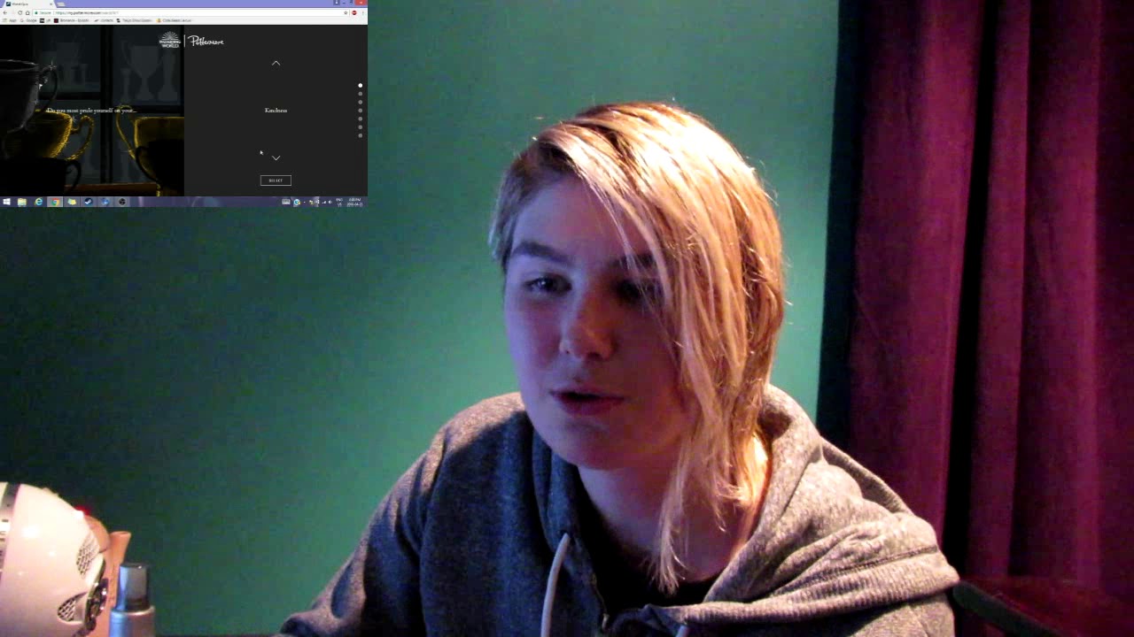 Pottermore quiz #2 my wand?