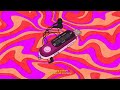 Iseo &amp; Dodosound - Pink Safari (Audio)
