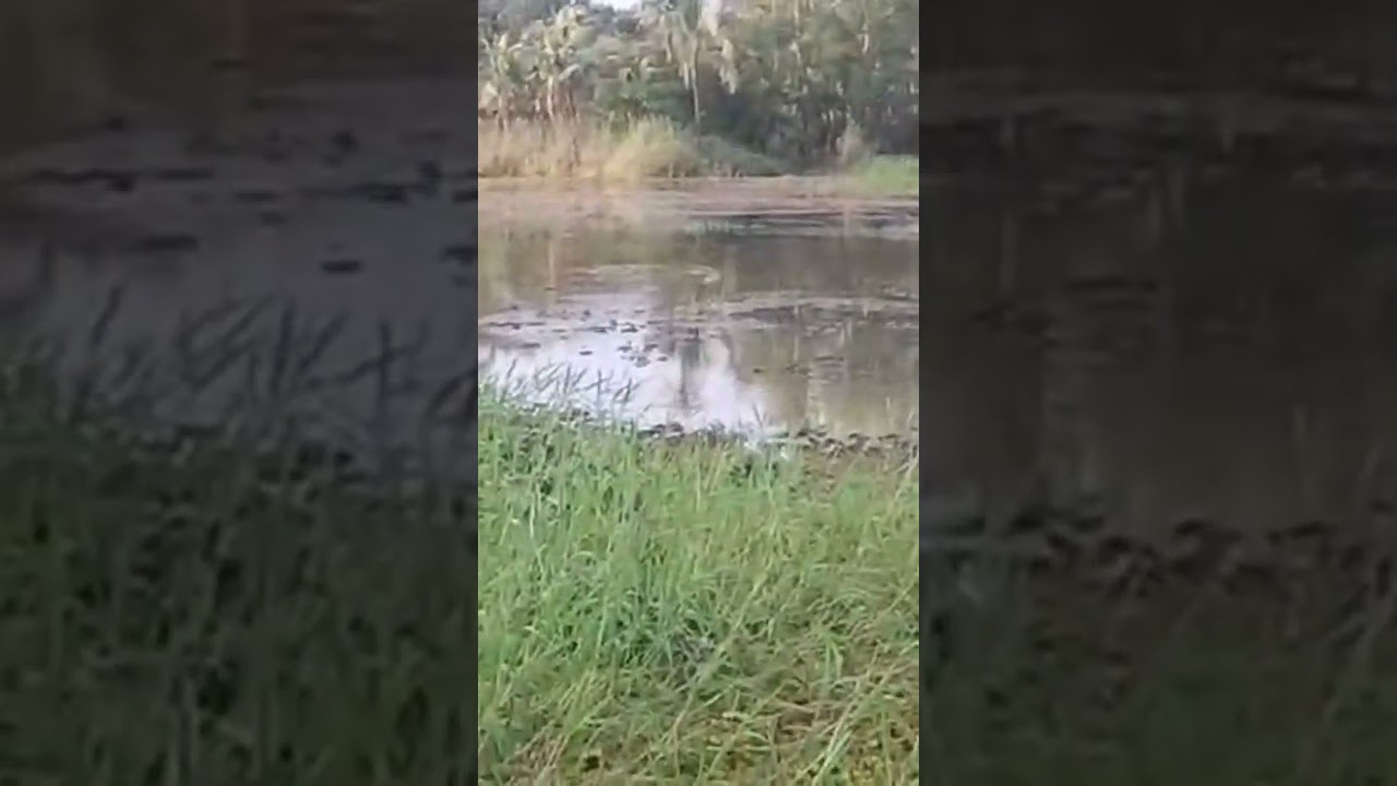 Shakespeare Fishing part 3 