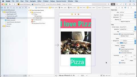 Xcode 10 Storyboard