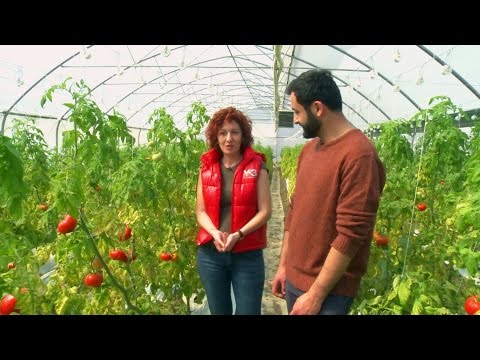 2 აპრილს, 12:45 საათზე, გადაცემაში \"ფერმა\"