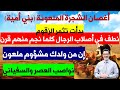 أغصان الشجرة الملعونة بني أمية بدأت تثمر الزقوم نواصب العصر هم أنصار السفياني