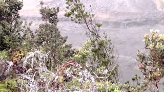 WP 20140107 16 34 17 Pro