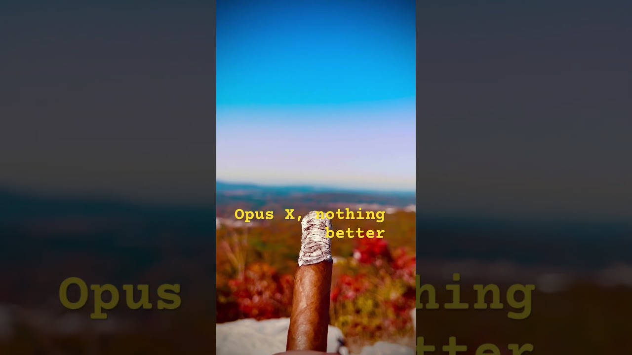 Opus-X kinda morning 