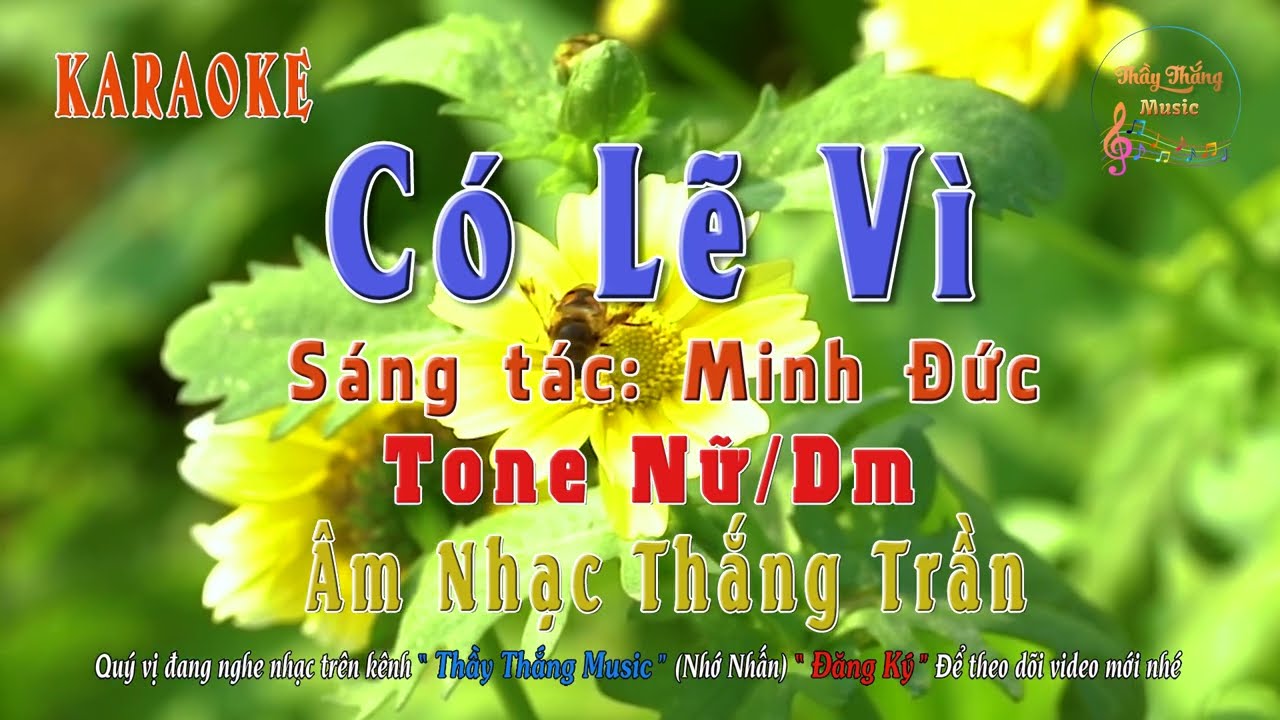 KARAOKE - Có Lẽ Vì - Tone Nữ - Dm