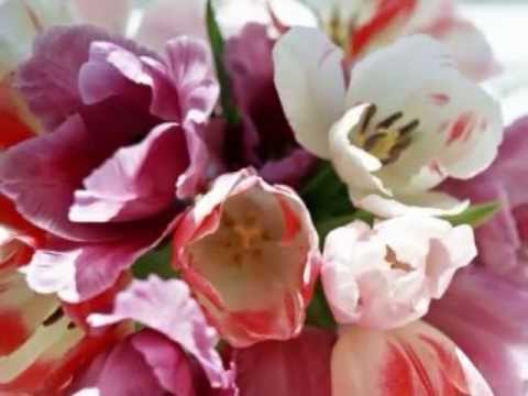 Жените са цветя 