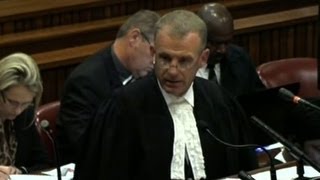Famous Oscar Pistorius interrogated by prosecutors about shooting Wealth