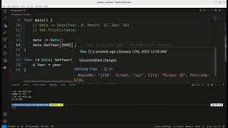 Go Programming Bangla - 29 Encapsulation Part 1 in Go