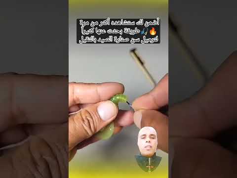 ترميل سن الصيد بالتقيل مثل المحترفين 