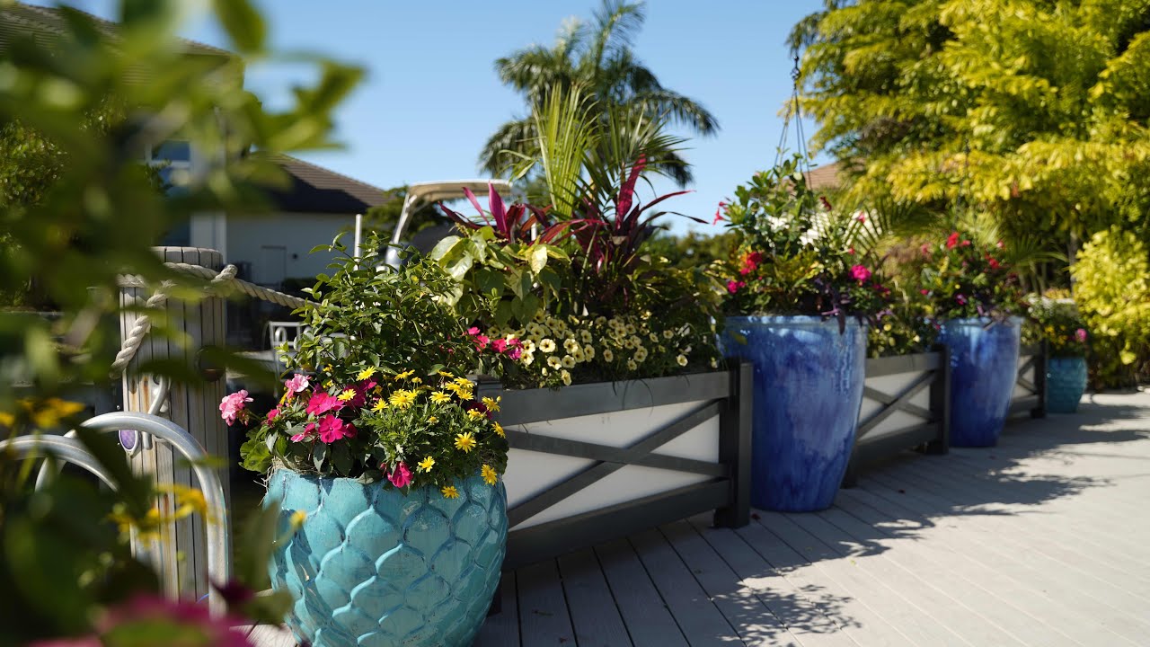 ОГРОМНЫЕ сезонные посадки AquaPots®!