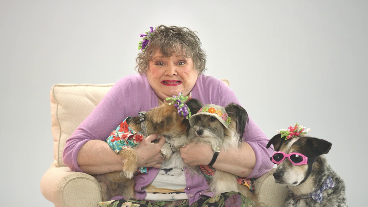 Dogtopia Houston Galleria Daycare   We Speak Dog