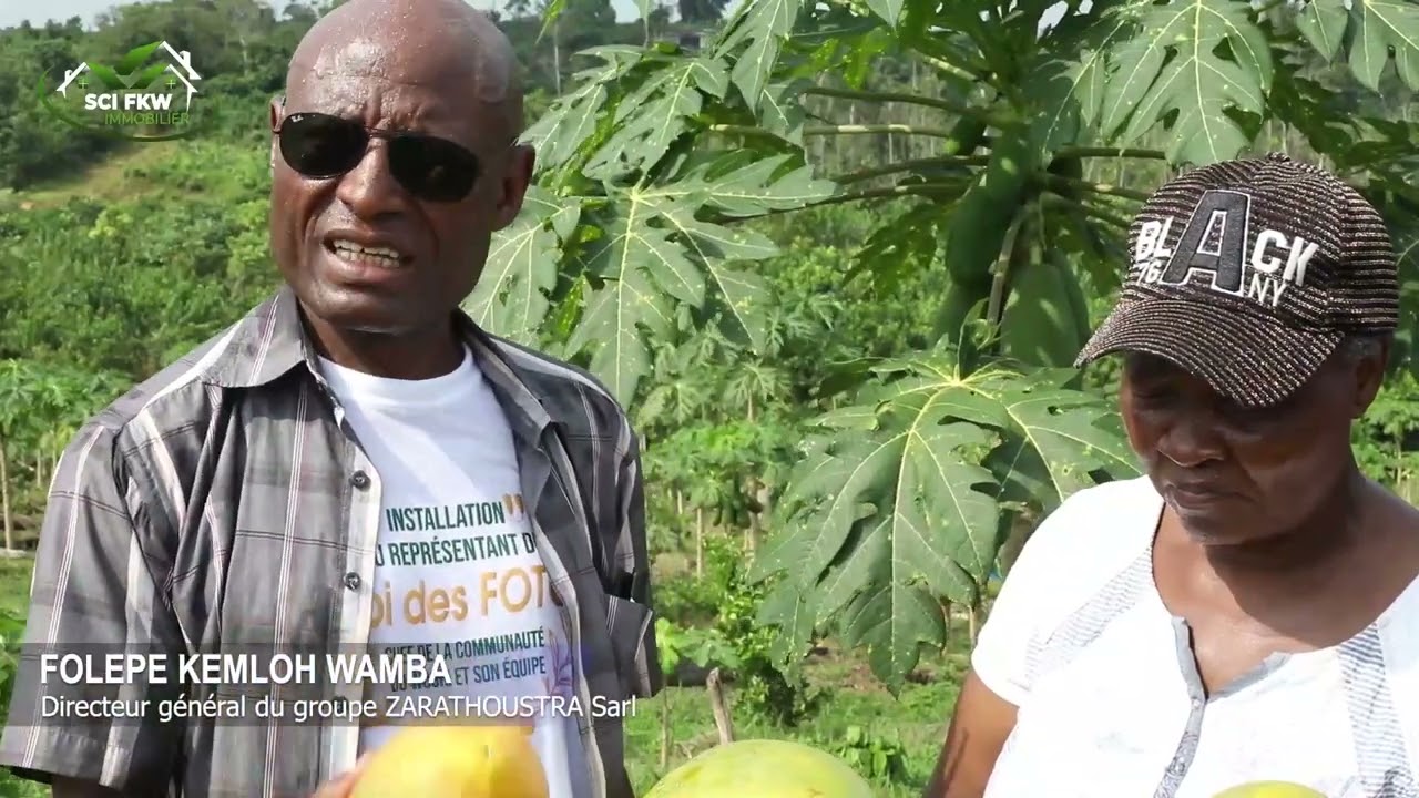 La SCI FKW et les opportunités d'affaires à MISSOLÈ 1-Dibamba