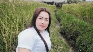 Nyab Tshiab Ua Paum Rau Kuv Pom Kuv Thiaj Muab Nyab Tshiaj Nyas Txhom Poum Loj Tiag 28012023