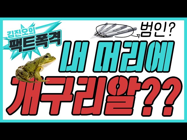 슬릿방식으로 모발이식하면 개구리알이 생기나요? (feat.팩트폭격)
