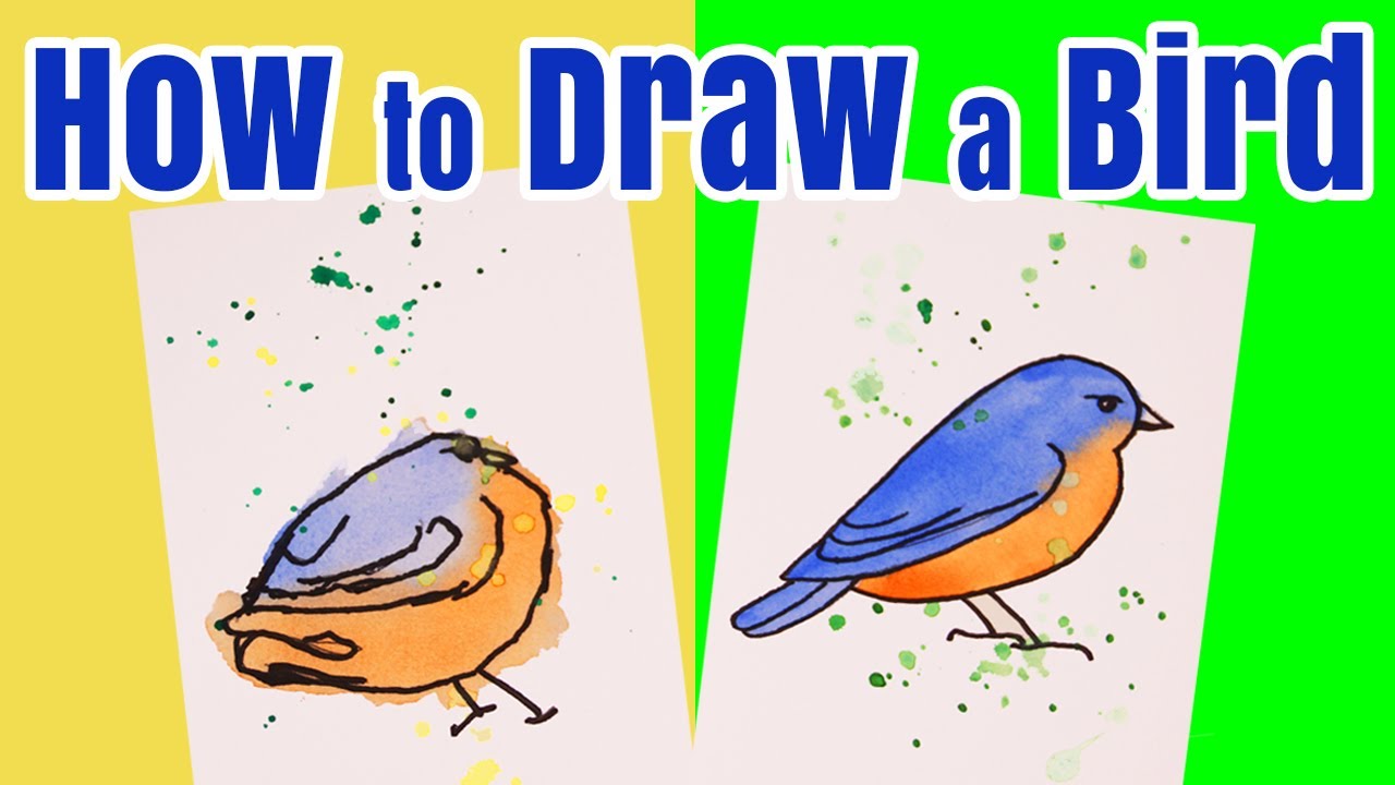 How to Draw a Bird Tutorial for Kids - Easy Watercolor Bird ...