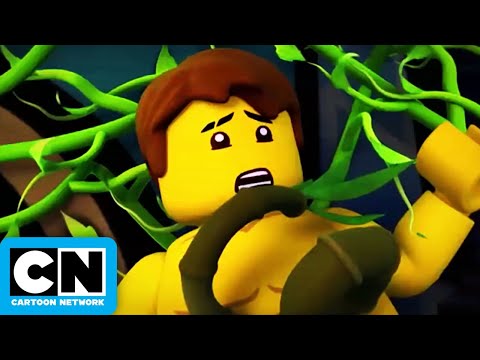 In an epic quest to save Lloyd, the Ninja will travel to uncharted lands, meet new allies and gain p. 