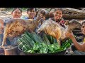 Do You Ever Cook Goat with San Pedro Cactus Sour Soup? Donation Food GOAT 60 KG with Pedro Cactus