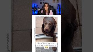 SHE LEFT HER DOG OUTSIDE IN RAIN.. 😭