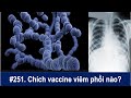 #251. Chích ngừa Vaccine viêm phổi nào, Prevnar13 hay Pneumovax23? Hiệu quả và tác dụng phụ