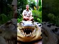 Giant crocodile 😲 #crocodile #shorts #testsounds