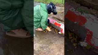 Draining an abandoned Road lot during rains #05, #shorts