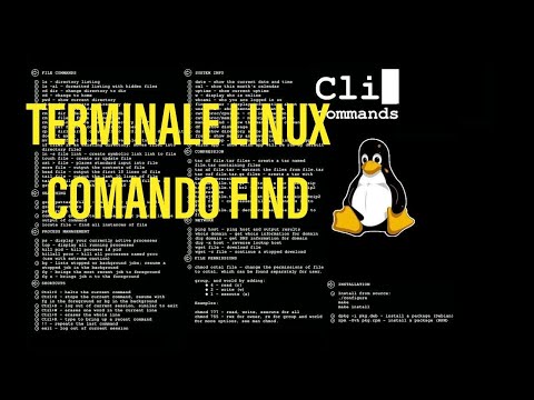 Video: Come Trovare Un File In Linux