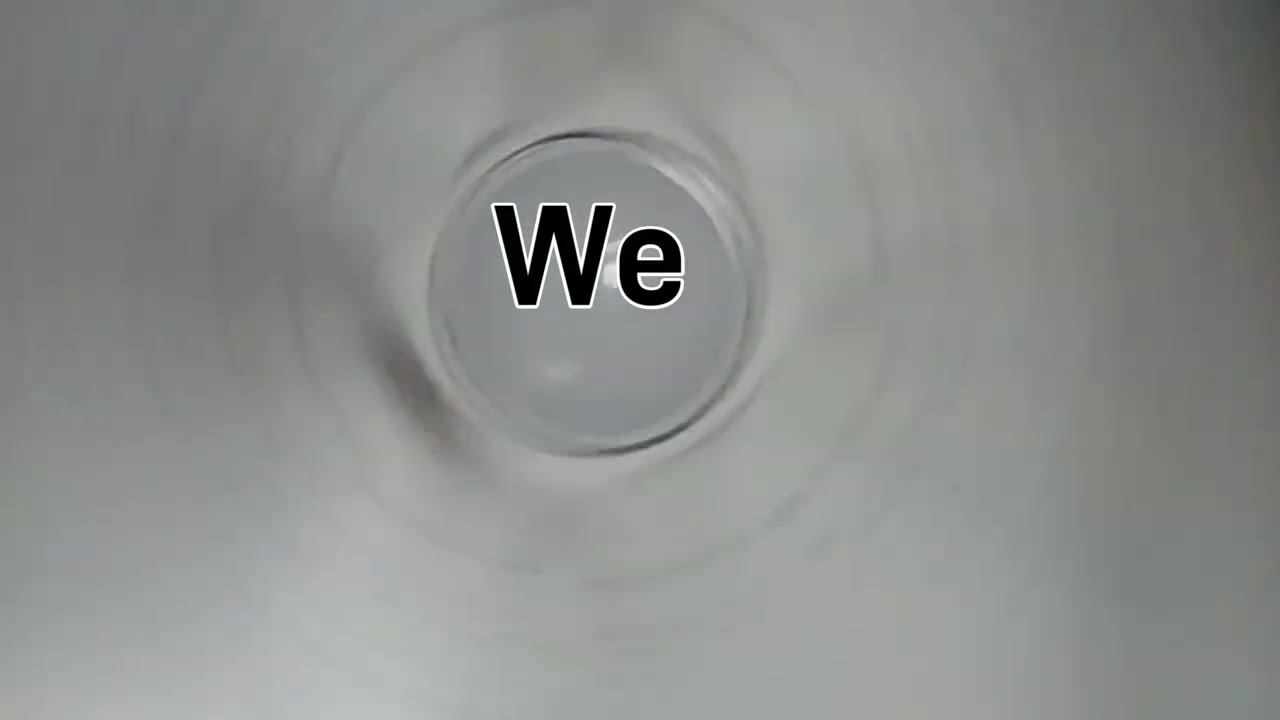 The Trumpstein Files - Schnefsky