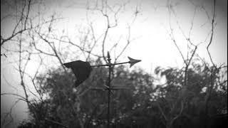 Hunter Metts - 'Weathervane'