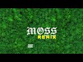 Miniature de la vidéo de la chanson Moss - Remix