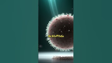 Dengue discovery for the first time #shorts #japan