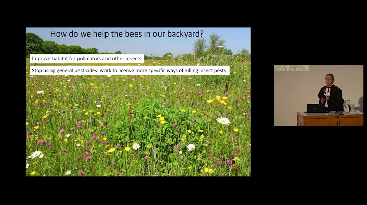 Bees and biodiversity: finding hope in the Anthrop...