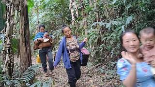 Peb Mus Das Dej Nyob Toj Siab