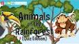 The Intriguing World of Rainforests ile ilgili video