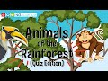 Unique Animal Features and Behaviors