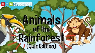 Animals of the Rainforest (Quiz Edition)