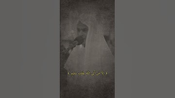 تلاوة من سورة الشعراء للقارئ عبد الرحمن مسعد