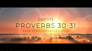 Day 173: Proverbs 30-31 | Wisdom and Virtuous Living