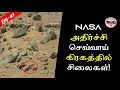 செவ்வாய் கிரகத்தில் சிலைகள்?!|Alien in MARS| Debunked| Tamil| SFIT